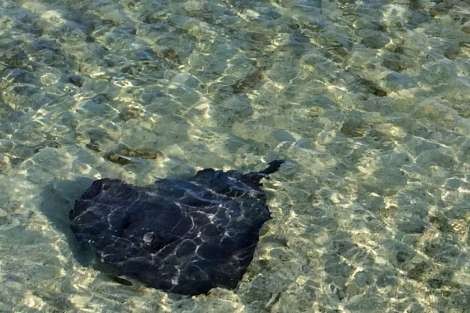 Review img # 2 of the yacht Tranquilo